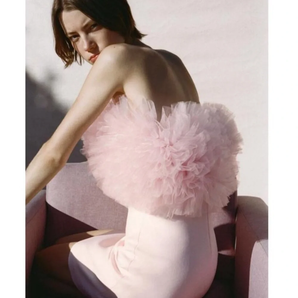 NWT ZARA SHORT TULLE VOLUMINOUS Mini DRESS Pastel Pink Size Small 4772/334 - Picture 3 of 10